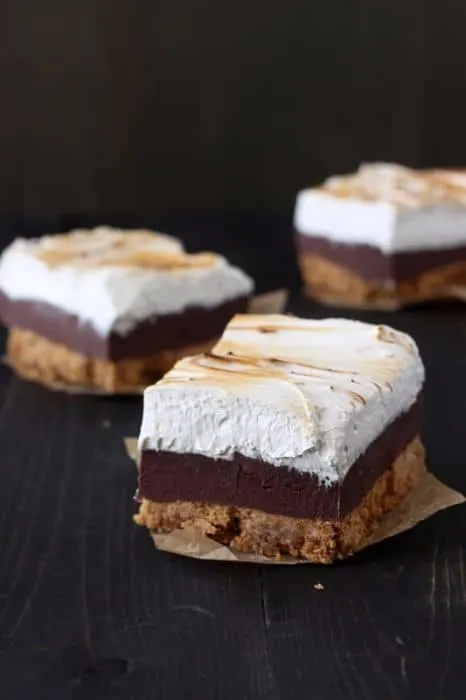 Smores Fudge Bars