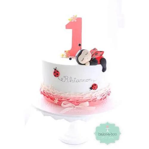 1rst Birthday Ladybug