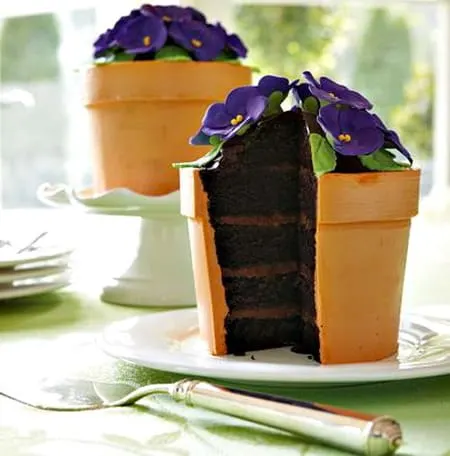 African Violet Cake