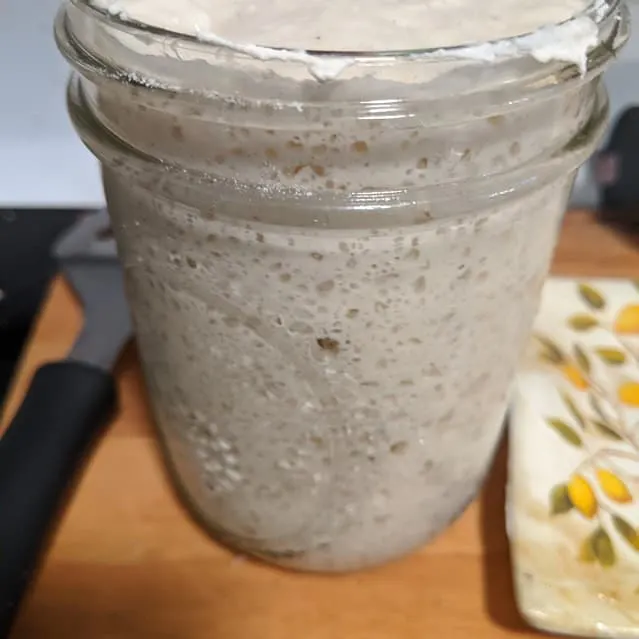 sourdough starter